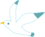 カモメ