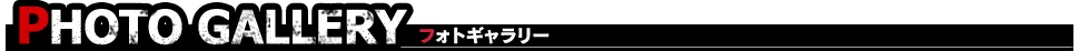 PHOTO GALLERY フォトギャラリー