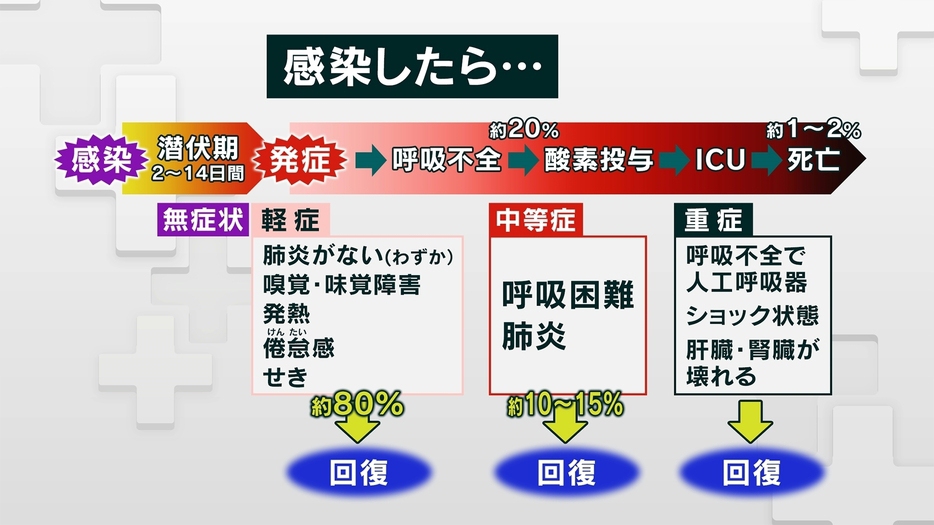 感染者の8割は軽症